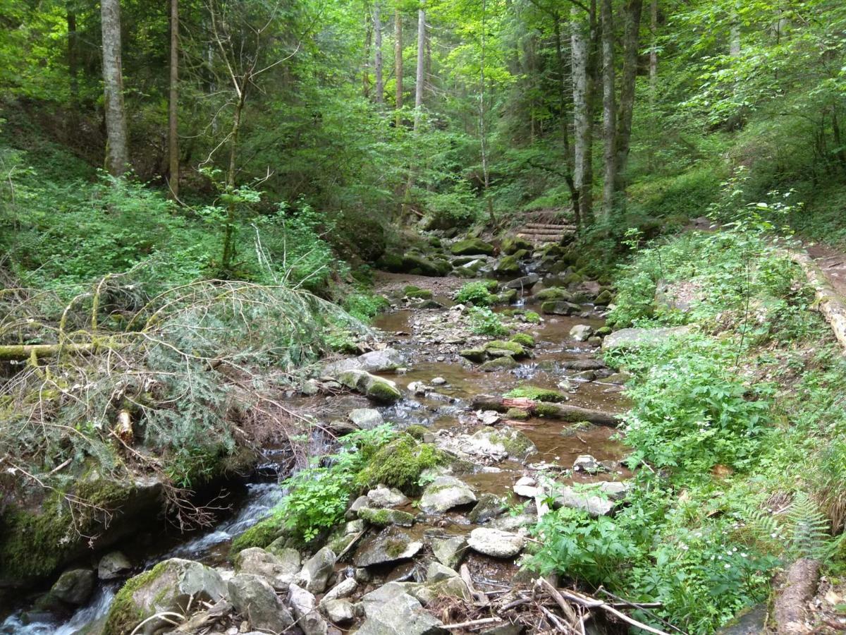 Amy'S Apartment, Relax And Enjoy Bonndorf im Schwarzwald Exterior photo
