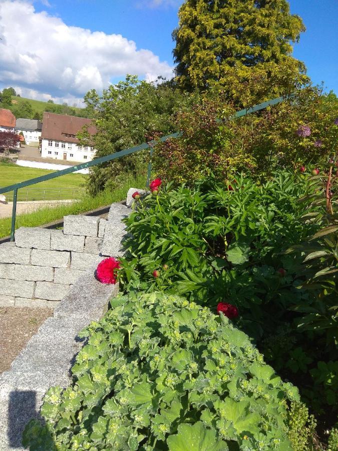 Amy'S Apartment, Relax And Enjoy Bonndorf im Schwarzwald Exterior photo